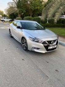 American 2017 Maxima